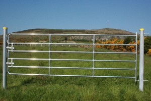 Field gate